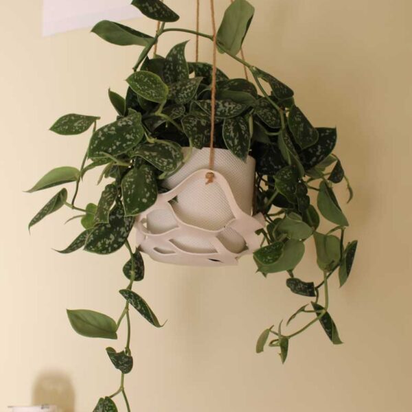 Planteophæng
